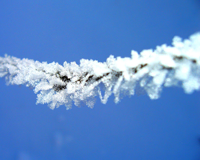 Hermoso Invierno - Beautifull Winter