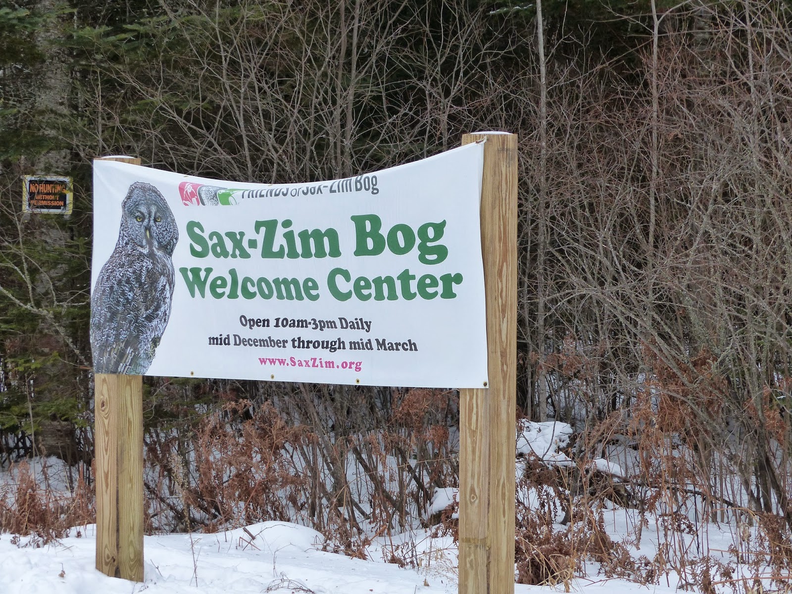 Birds & Words SaxZim Bog 1/16GRAY JAY, BOREAL CHICKADEE, PINE GROSBEAK