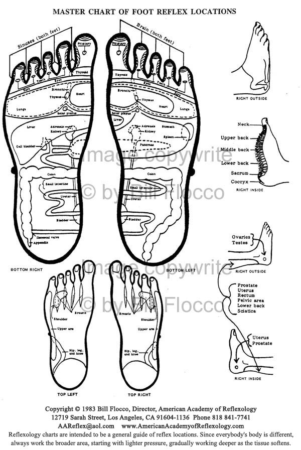 Reflexology Chart Bottom Right Foot