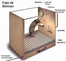 Teoría Conductual: Burrhus Frederic Skinner