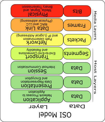7 layer of networking