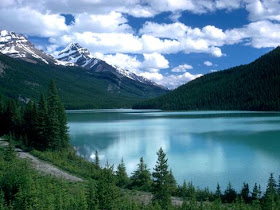 Portale Web Sfondi Natura Hd Desktop Gratis