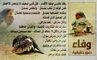 صور عن الوفاء صور عن الوفاء