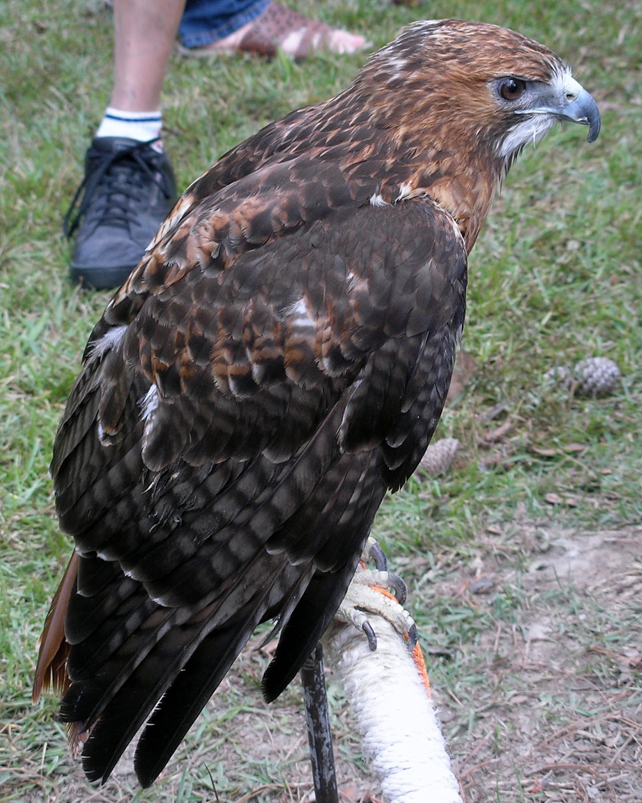 Travel with the Slivas Louisiana Bayou NWR