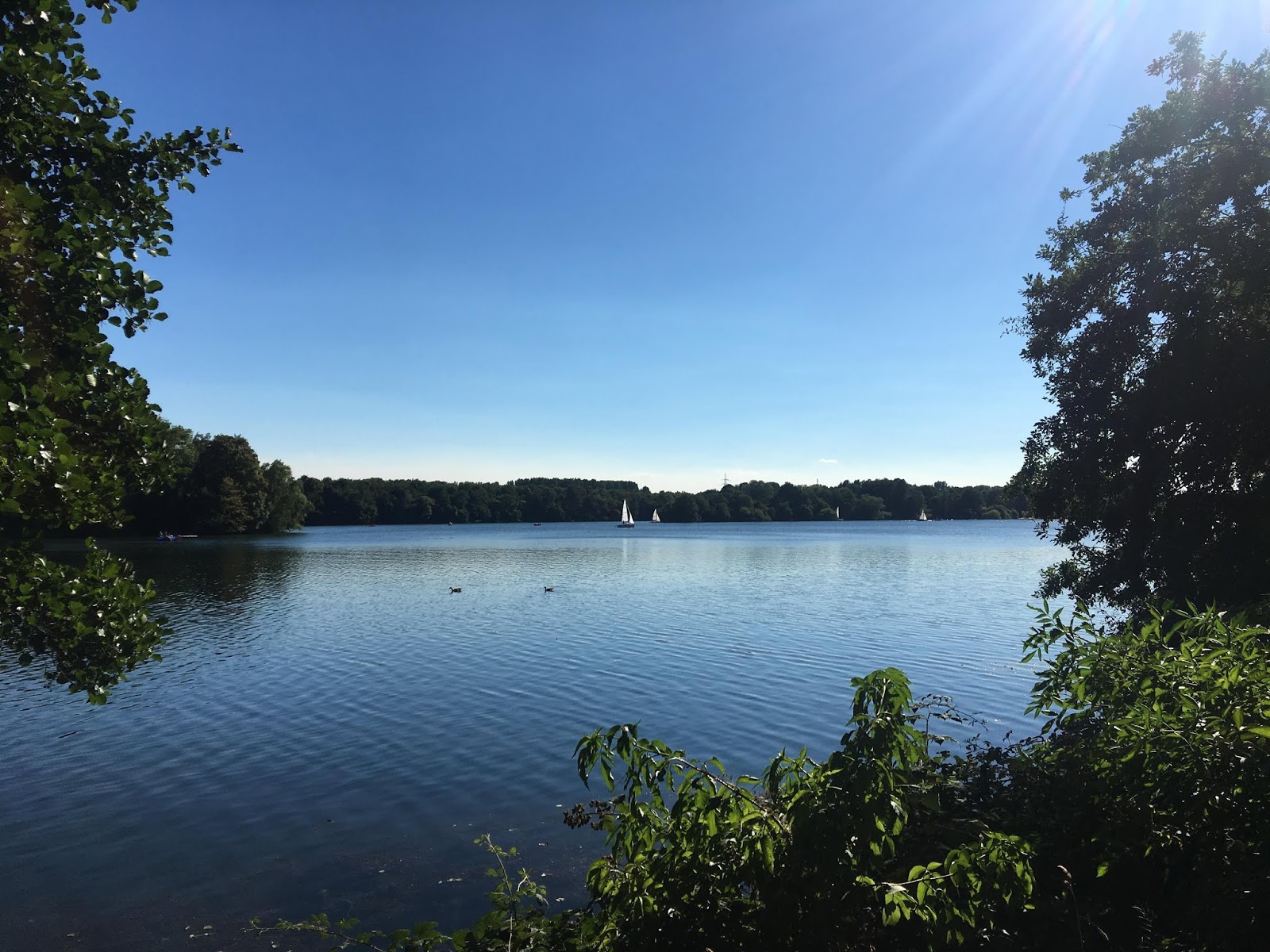 パグ犬日記 in Deutschland ウンターバッハ湖でお散歩