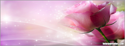 imagenes portadas portada rosas hermosas flores bonitas lindas biografia rosa amor imagui imagen rojas imagenes