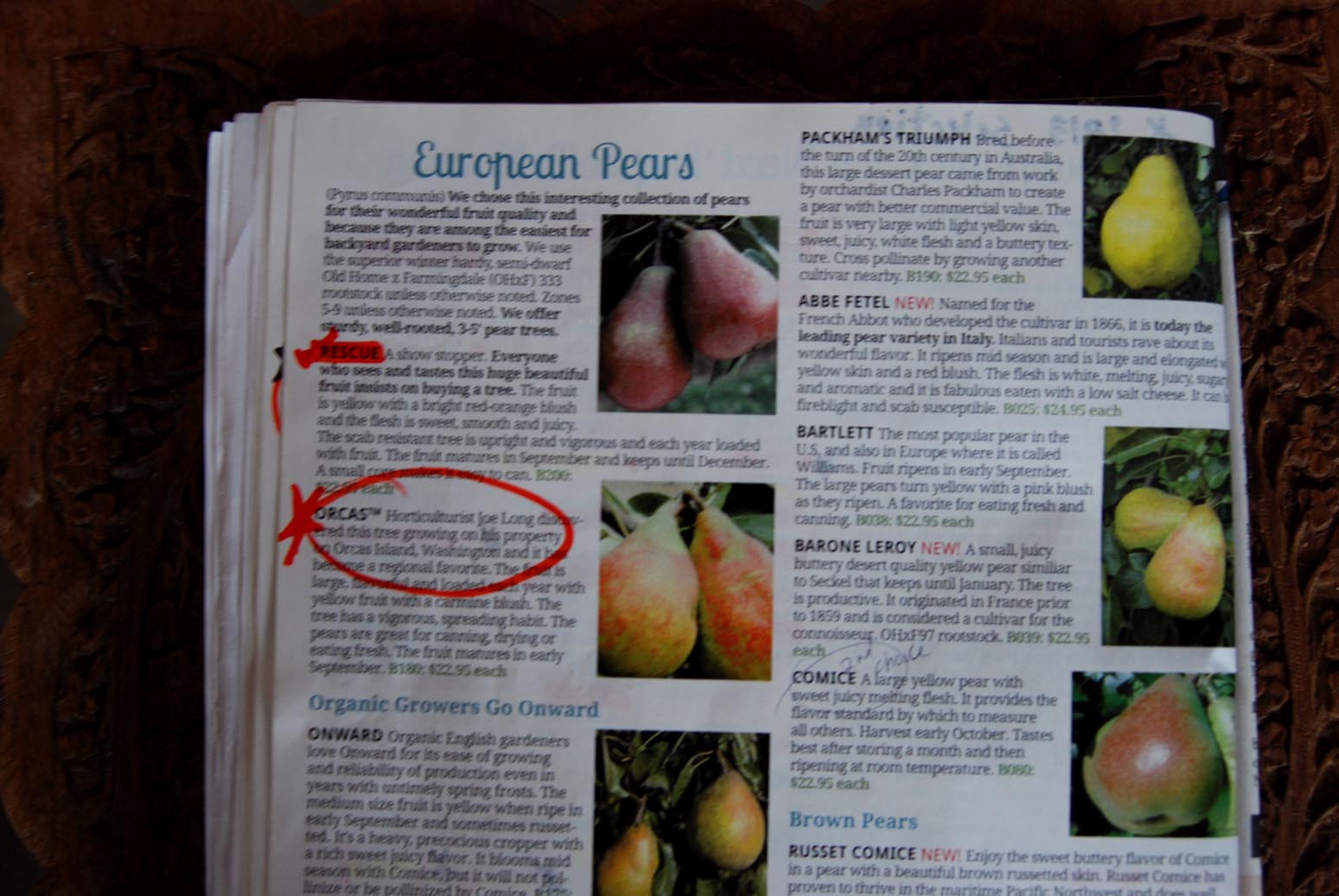 Applegarth Farm Fruit Tree Order