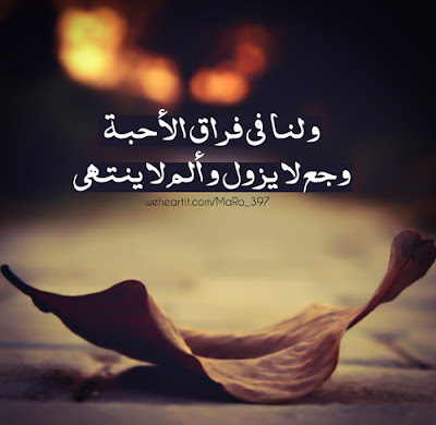 صور لطيفة للواتس صور لطيفة للواتس