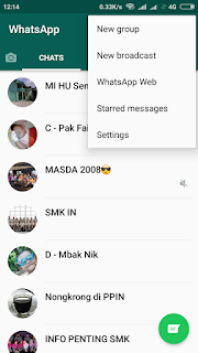 Opsi Setting Aplikasi WhatsApp