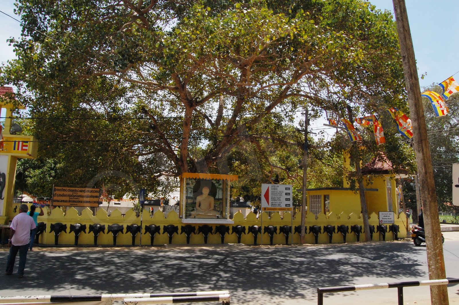 FOREST BIRD Eight hours in Jaffna.