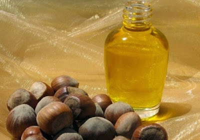 Hazelnut Oil Benefits For Skin And Hair Kacantikan
