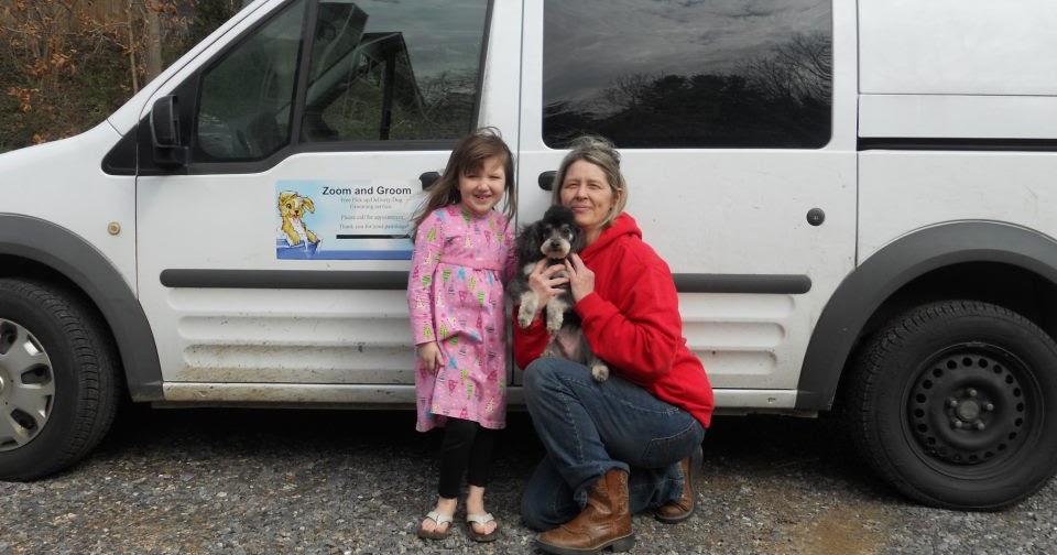 Grooming and Zooming Dog Grooming Asheville NC