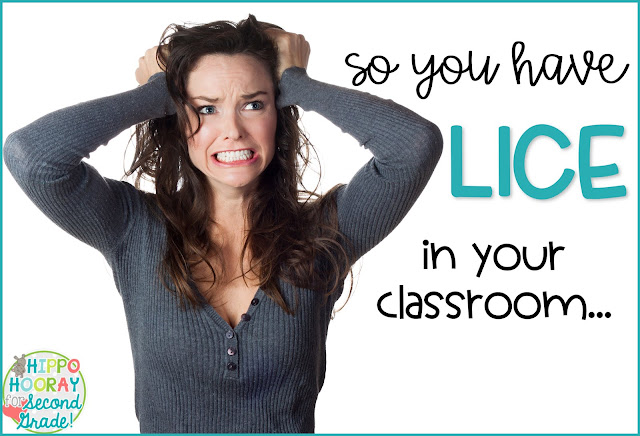Do you have lice in your classroom? DON'T PANIC! This blog post gives tips and busts myths for these irritating insects. 