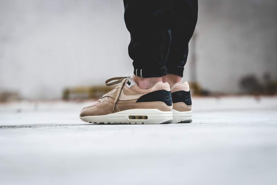 nike air max 1 mushroom