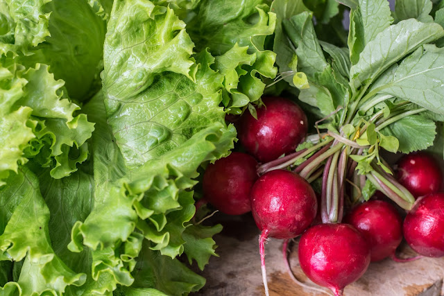 Benefits of Organic Food 