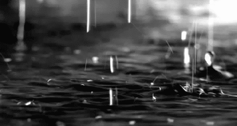 Giọt mưa hình dấu hỏi- Hồng Thủy Tiên