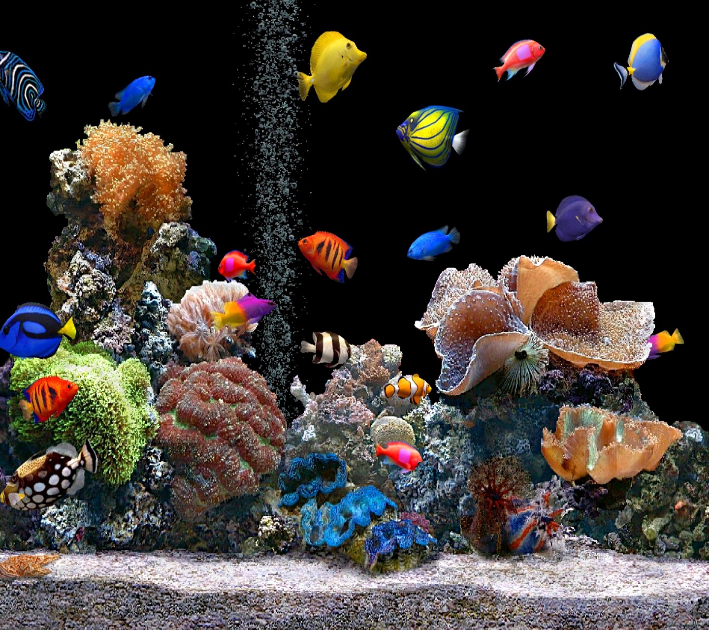 Aquarium HD Wallpapers
