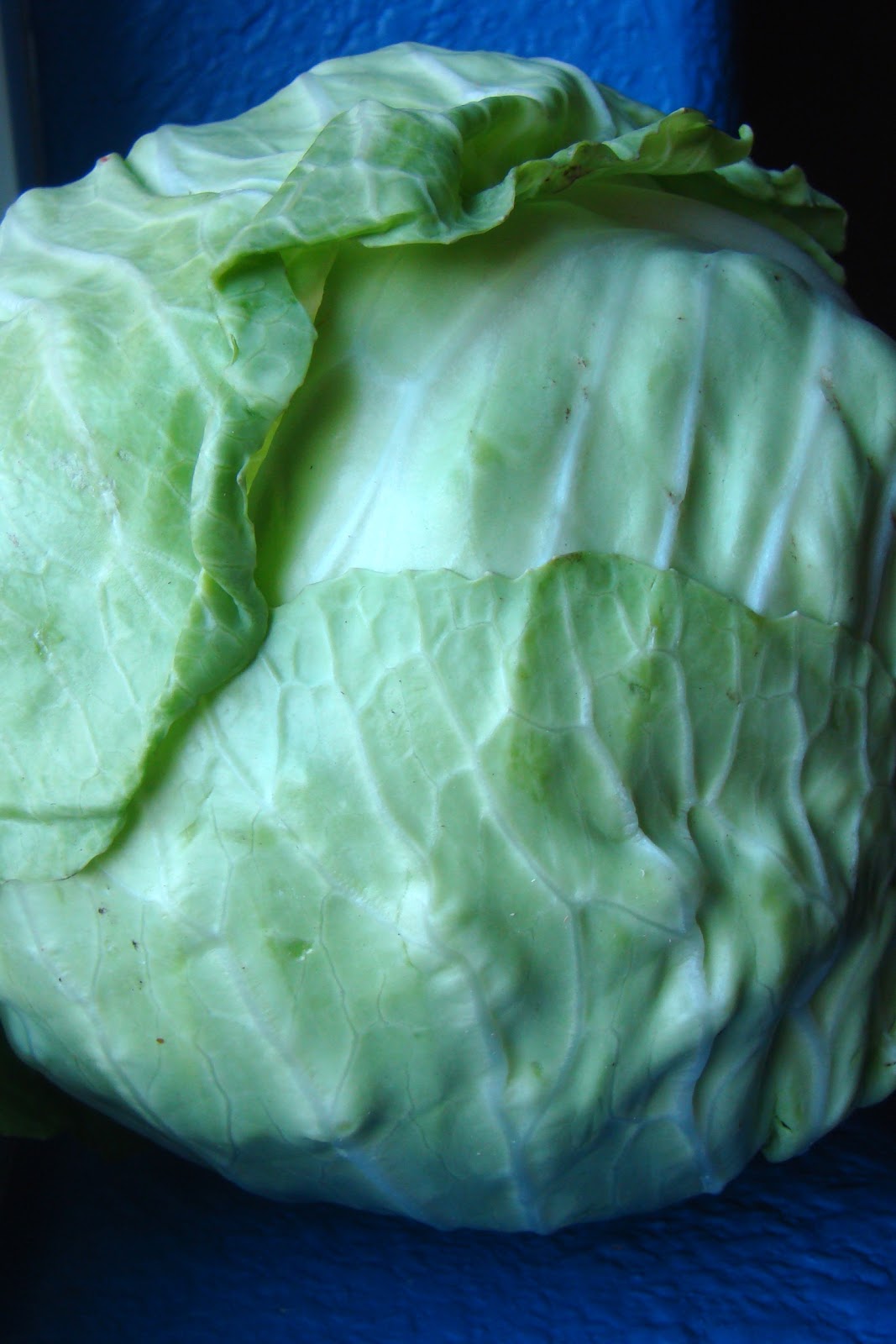 Nourished and Nurtured Can Too Much Sauerkraut Damage Your Thyroid