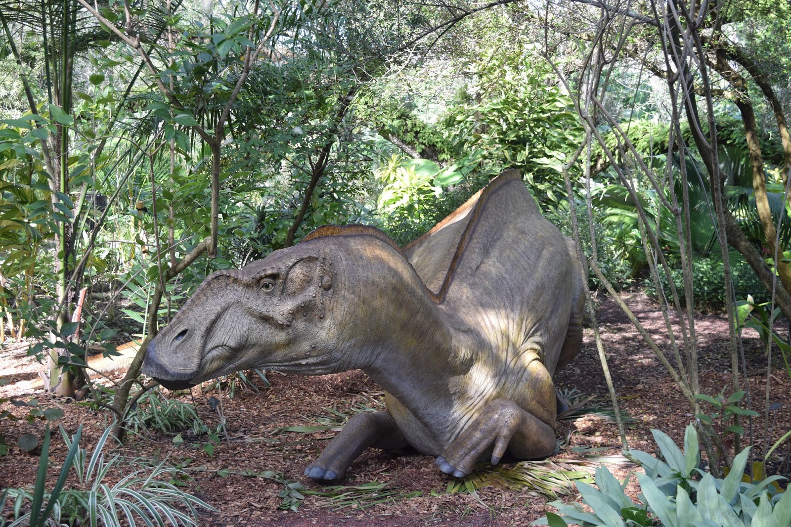Shanna's Adventures Dinosaur Invasion at Leu Gardens