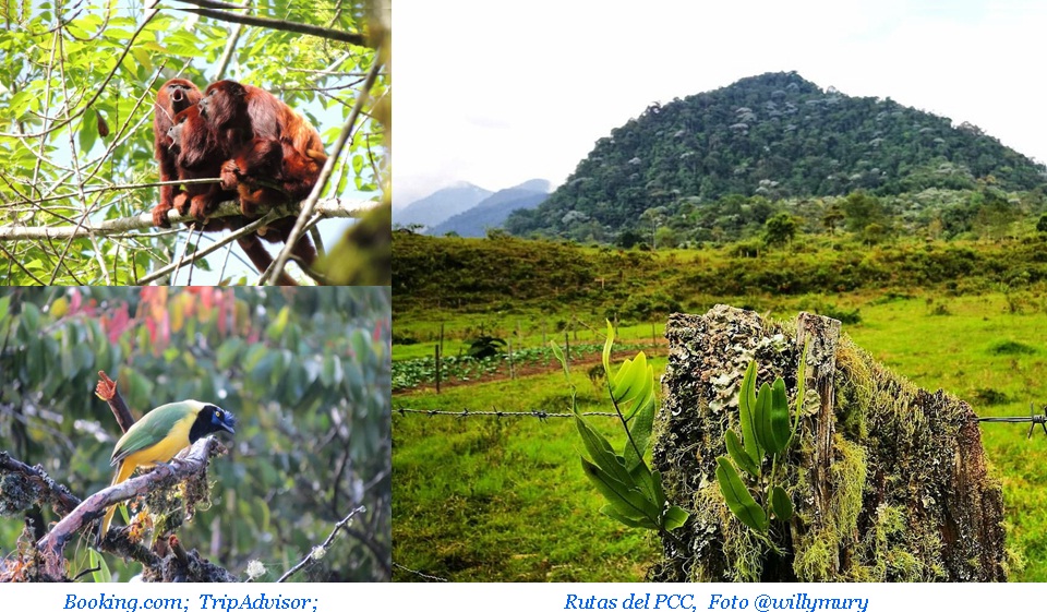 Pasea por Colombia Santuario de Fauna y Flora Otún Quimbaya; Maravilla Colombiana Pasea por Colombia Santuario de Fauna y Flora Otún Quimbaya; Maravilla Colombiana