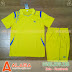 Áo Bóng Chuyền MIZUNO ALB - NA04 Màu Vàng
