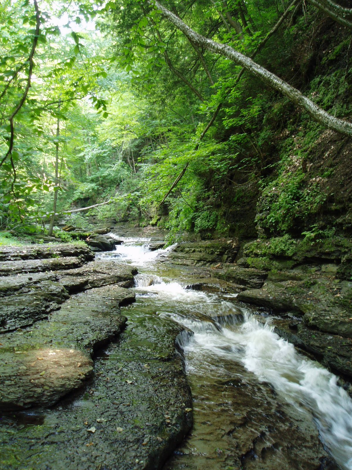 . Angel Falls Beaver Meadow Creek Java, Wyoming County