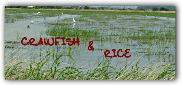 Crawfish & Rice: Cajun and Creole