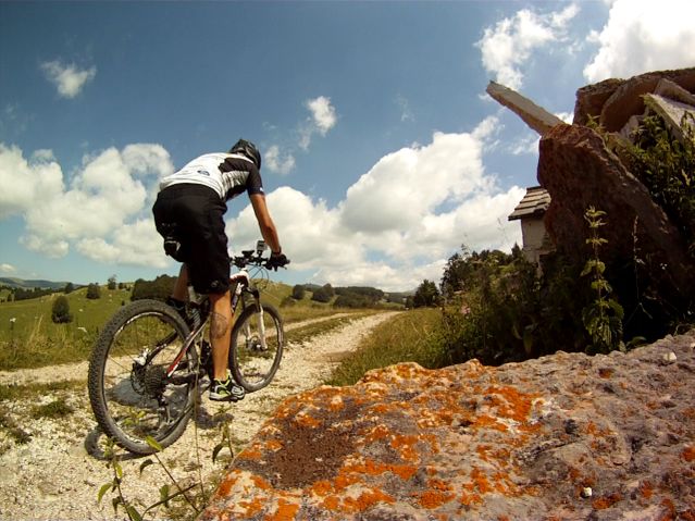 Cactus+mtb+31072013.jpg