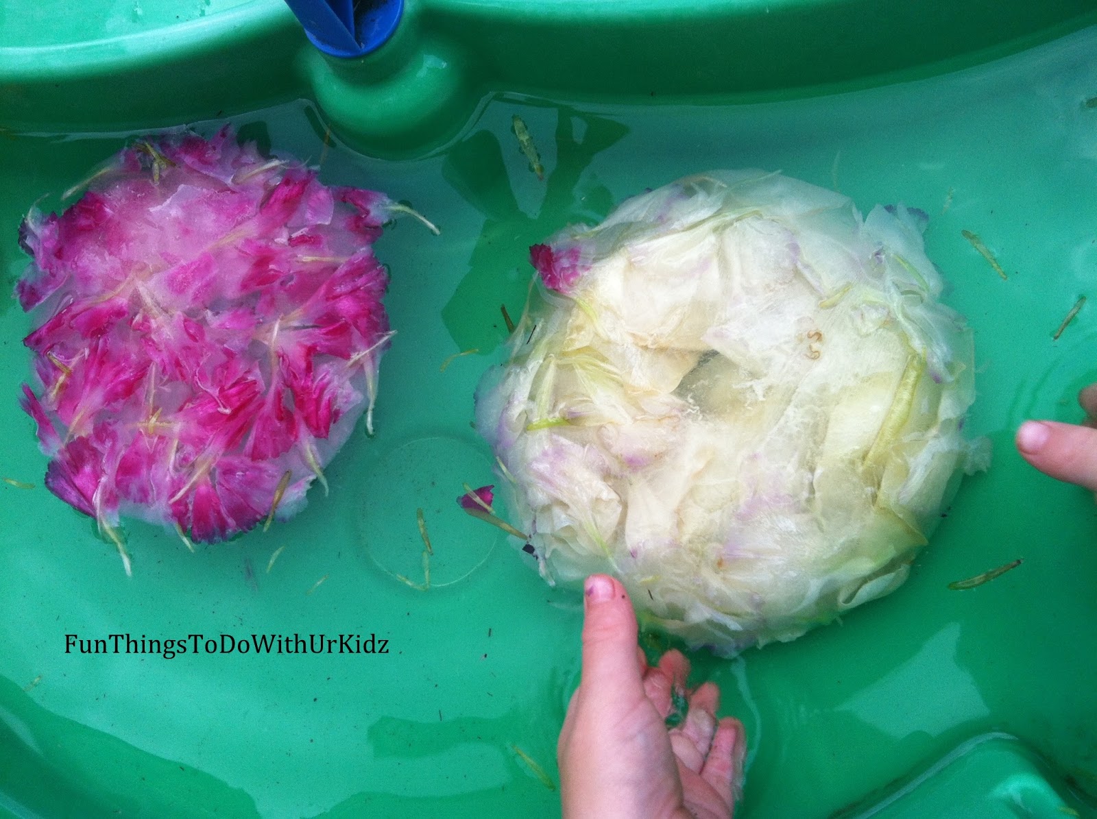 Frozen flower ice play