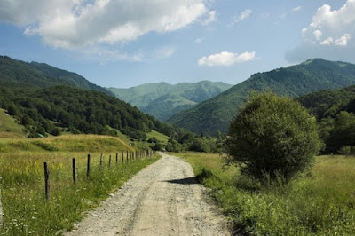 Risultati immagini per "Dall'ecologia all'ecosofia" di Luciano valle