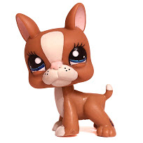 Littlest Pet Shop Multi Pack Boston Terrier (#1380) Pet