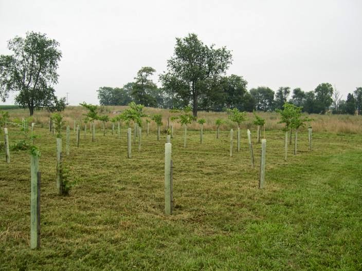 Do you need help with the Forest Retention Area in Hagerstown, MD or