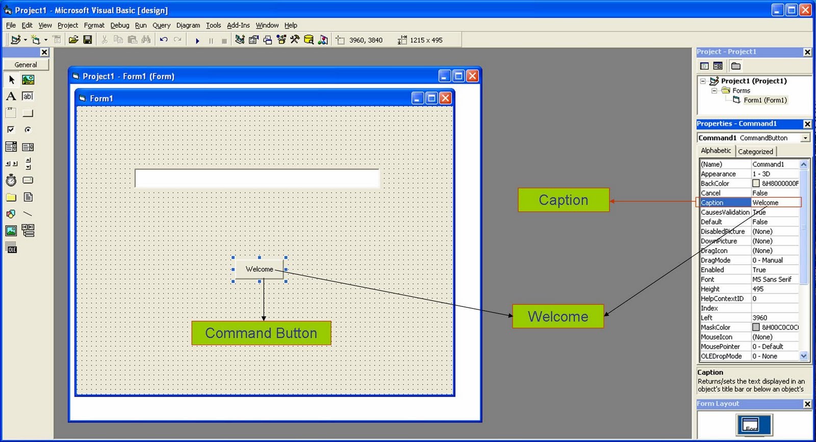 Project of Visual Basic 6.0 by using Text Box