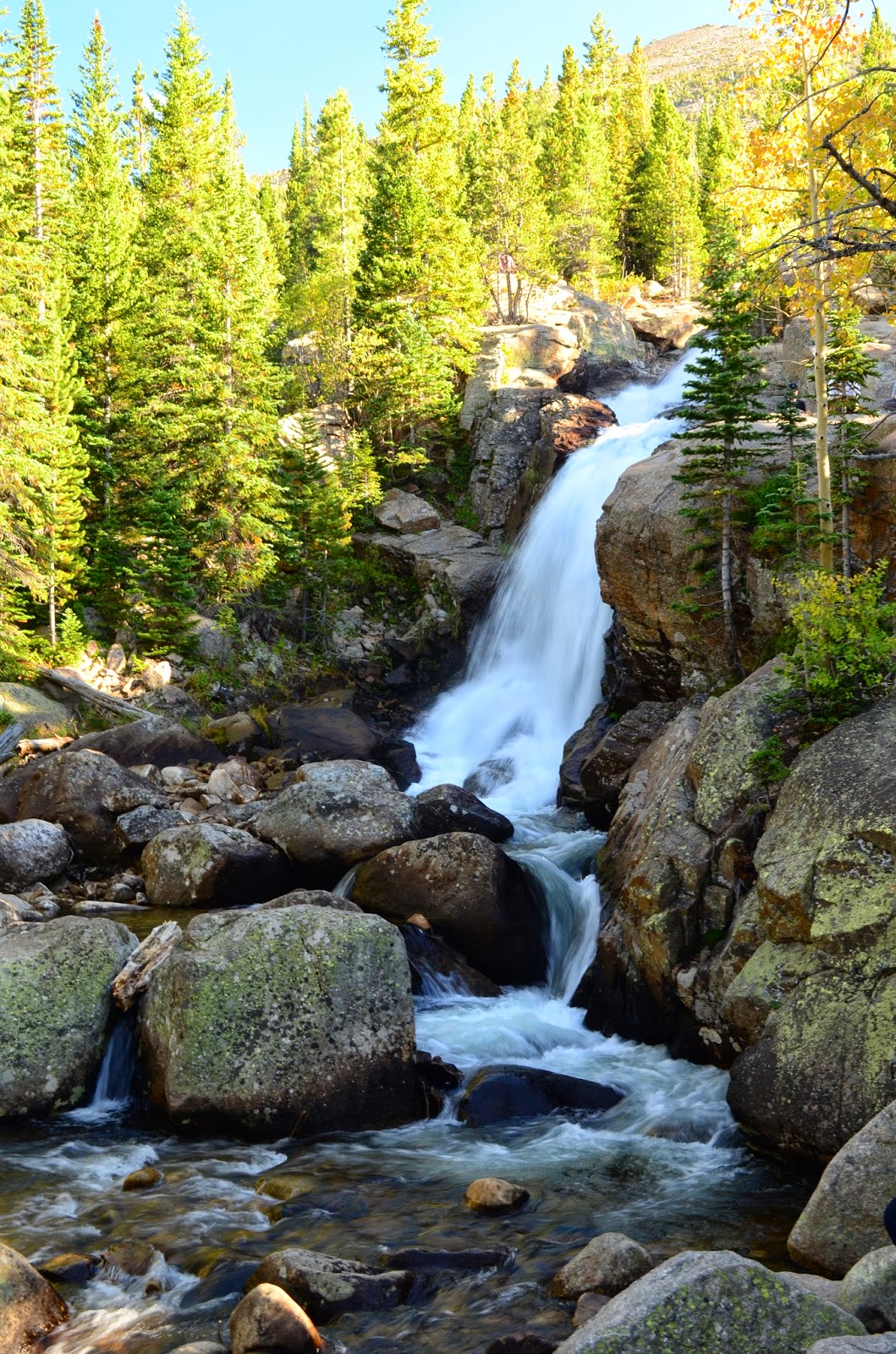 My Hiking Experience Alberta Falls Trail
