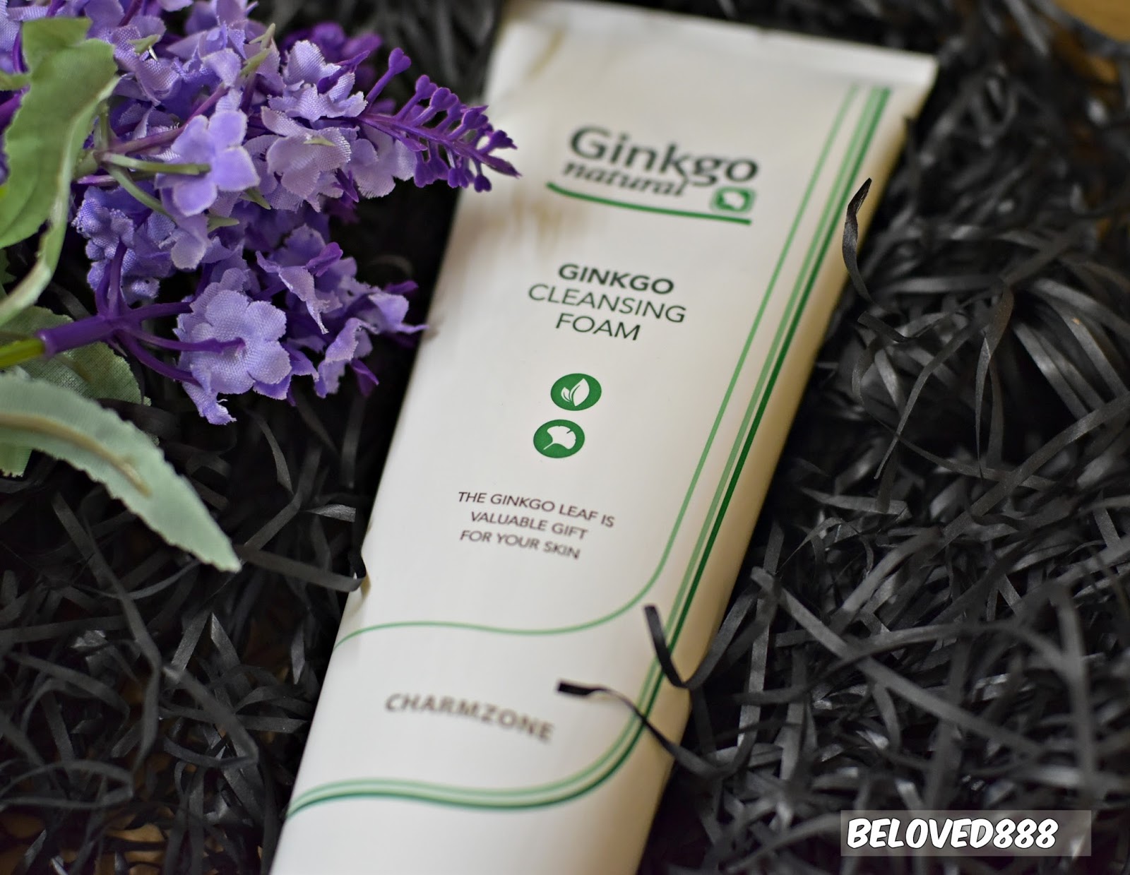 ginkgo natural cleansing foam