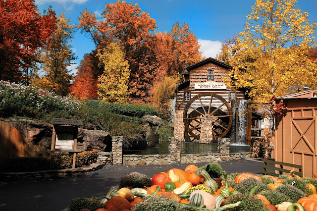 Dollywood's Great Pumpkin Luminights Provides Families with Memory-Making Opportunities  via  www.productreviewmom.com