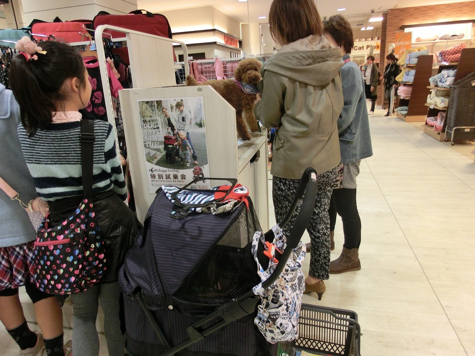 Pets & Animals in Japan (Part 1)