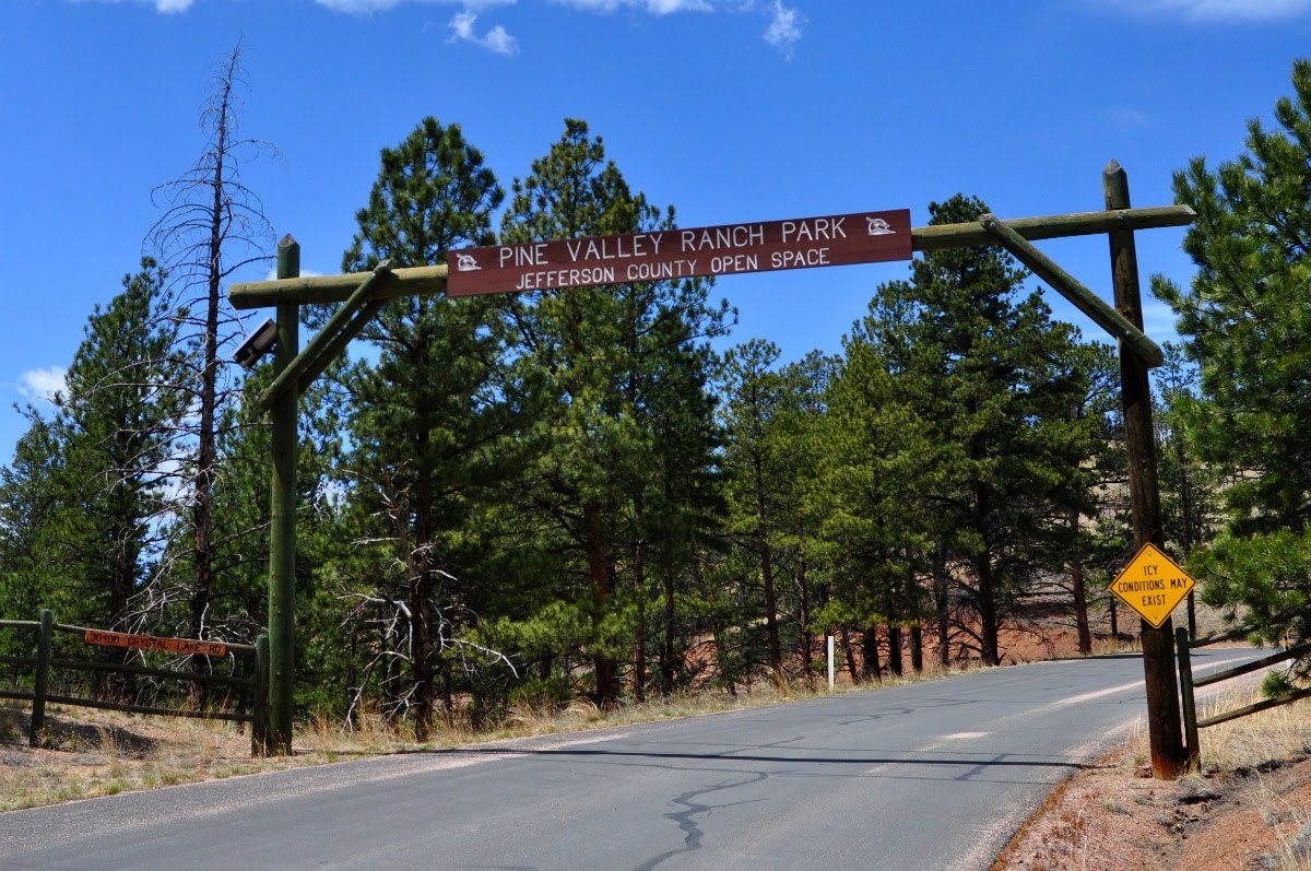 A Tree Falling Pine Valley Ranch Park