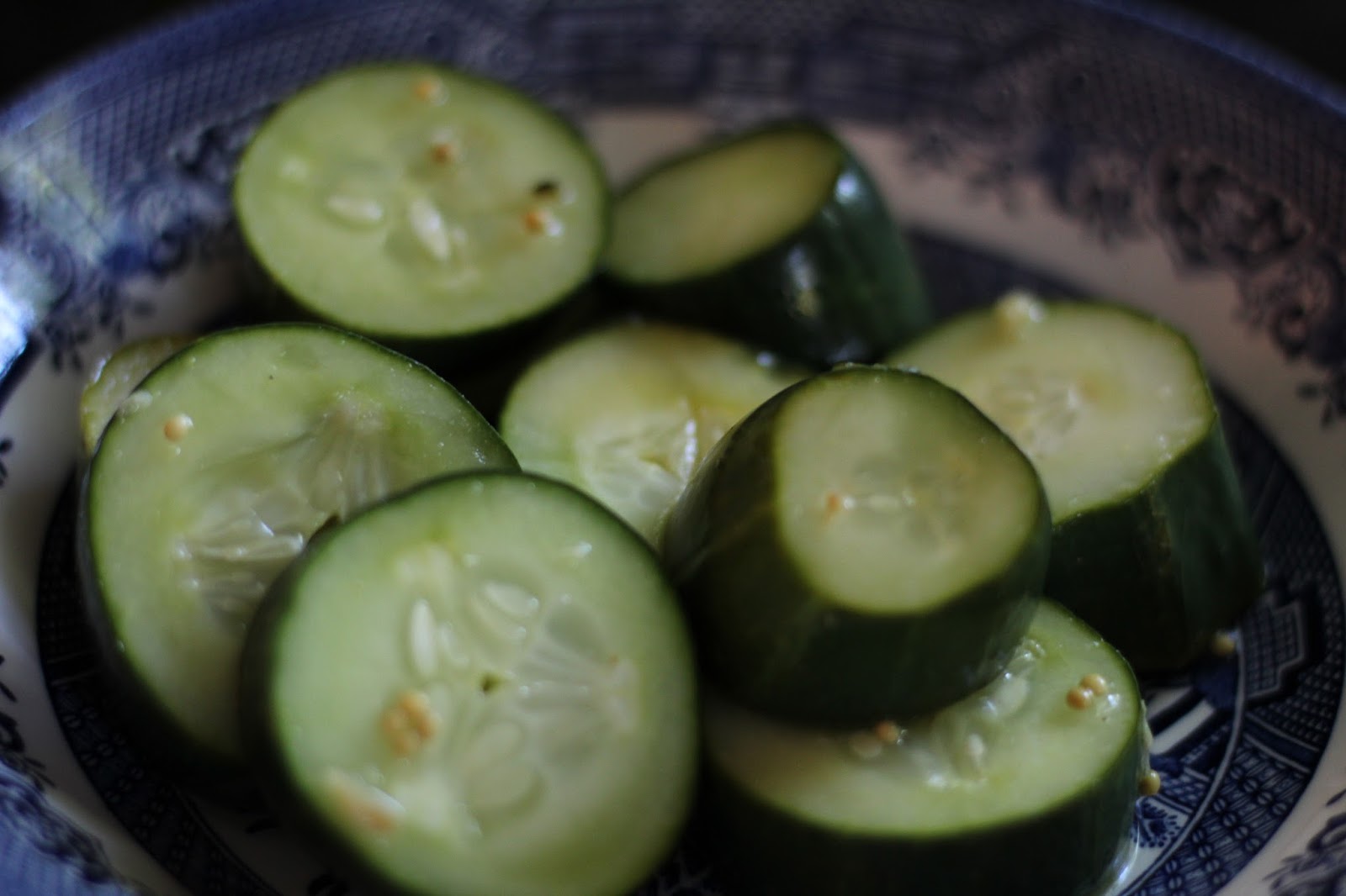 A Taste of History with Joyce White Hot Pot Pickle with Cucumbers