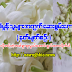 ေဆးေကာင္းတစ္လက္ အစြမ္းထက္ မ်က္စိမႈန္သူမ်ားအတြက္ ေဆးစြမ္းေကာင္း (နတ္မ်က္စဥ္း)