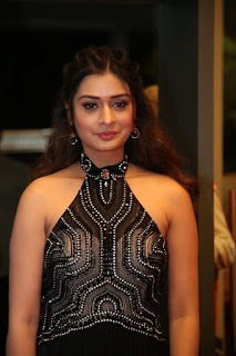 Actress Payal Rajput Stills At Sakshi Excellence Awards Event 2019 Actress Payal Rajput Stills At Sakshi Excellence Awards Event 2019
