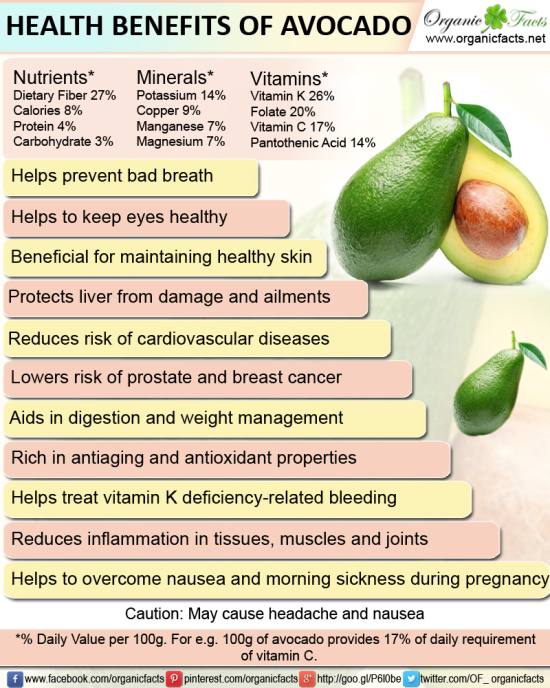 Under The Angsana Tree Health Benefits of Avocado