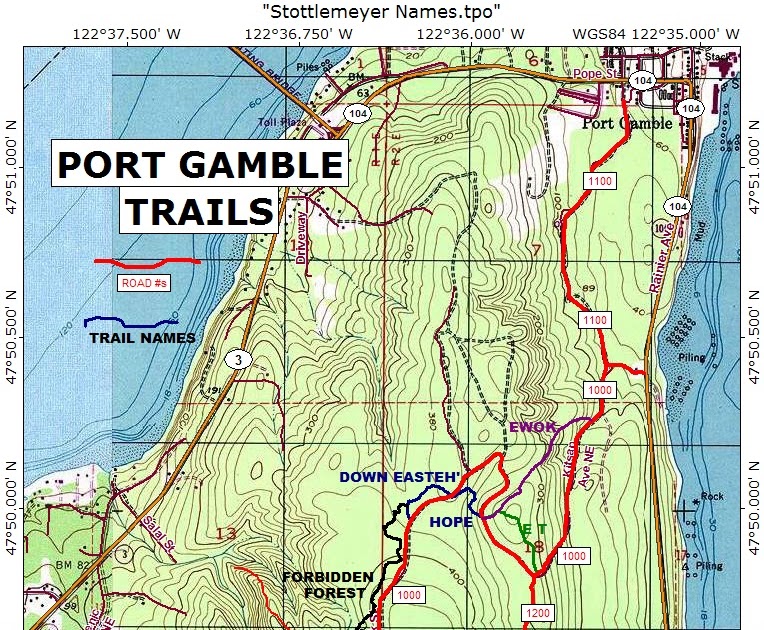 Dan's Blog: Lost In The Port Gamble Forest