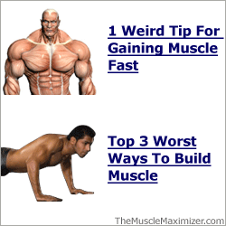 MUSCLE MAXIMIZER