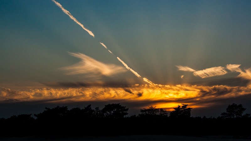 Sunset Evening Trees
