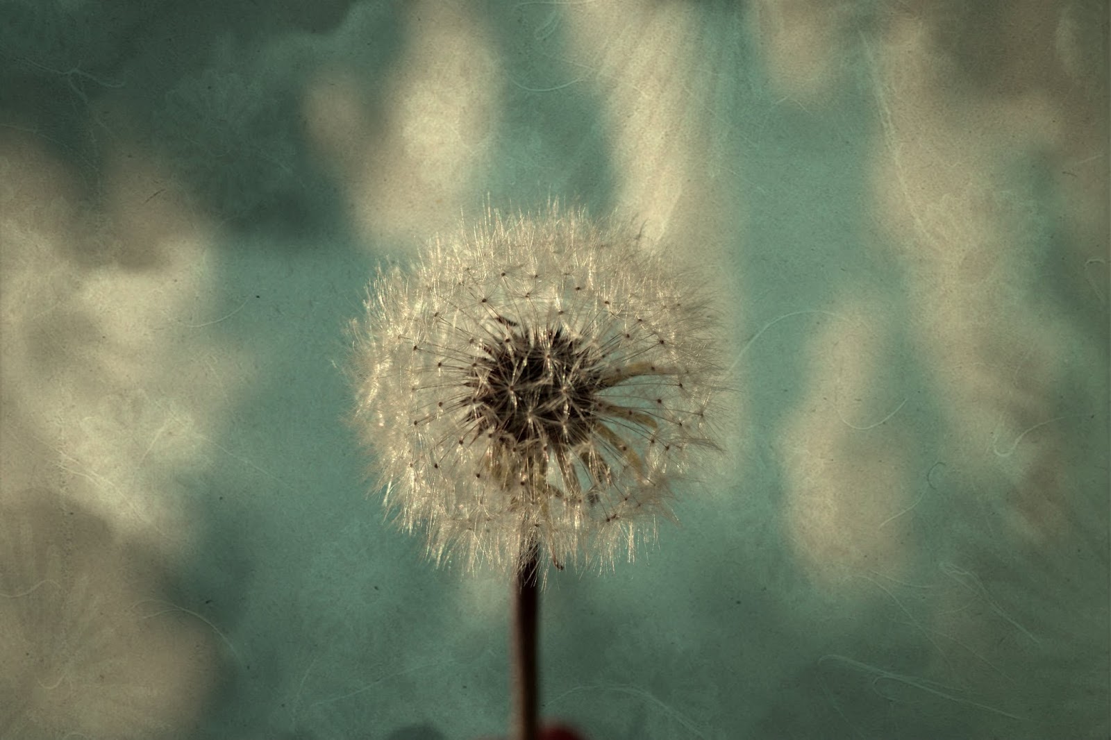 photography art photography art