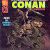 Savage Sword of Conan #6 - Alex Nino art & cover, Don Newton art