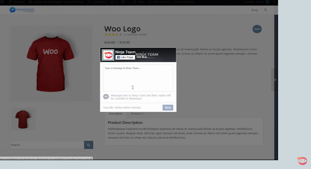 reasons to use Facebook Messenger app for wordpress? Facebook Messenger app for wordpress