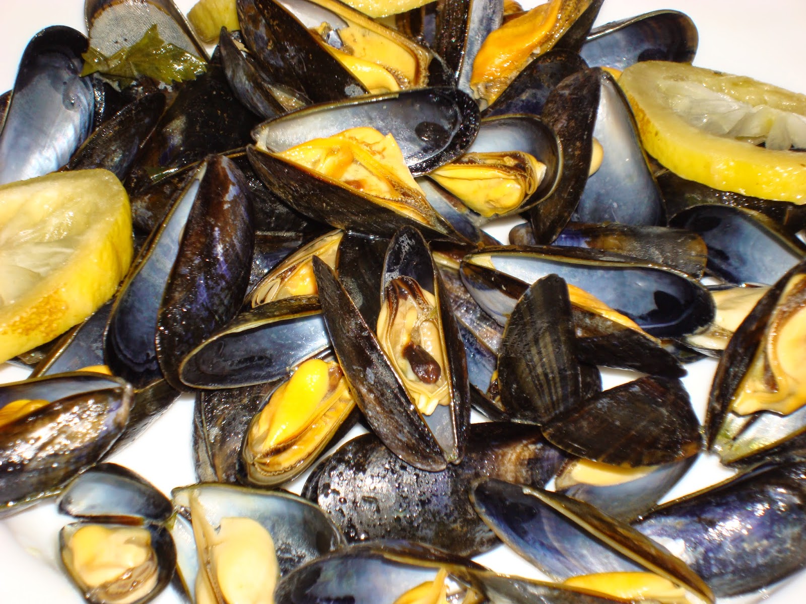 COCINA DE CEUTA: MEJILLON DE ROCA AL VAPOR