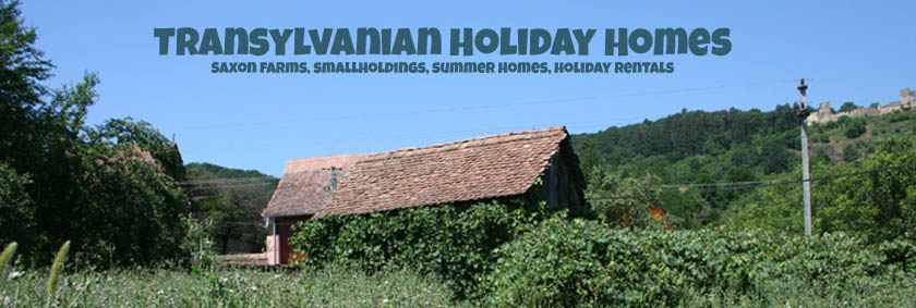 Transylvanian Holiday Homes For Sale